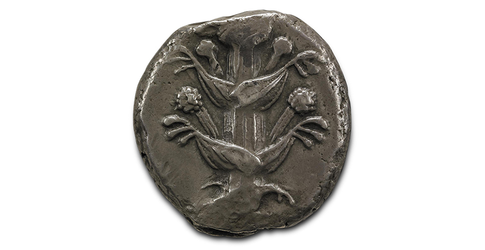 A silver coin on a white background. The coin features a bas relief of a plant.