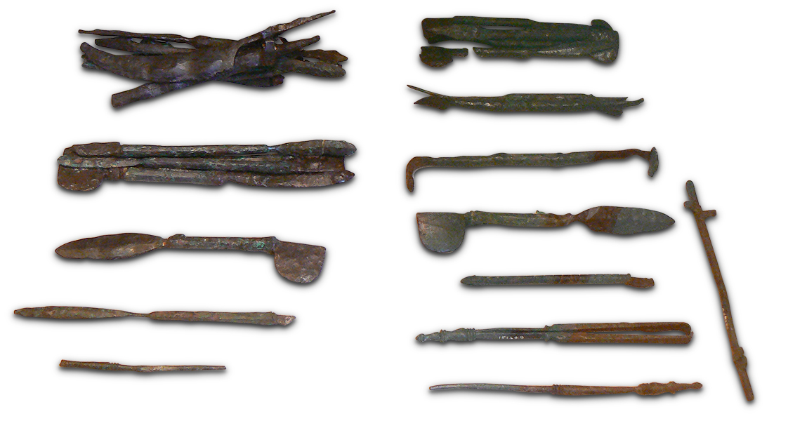Two rows of greenish-brown, stick-like objects placed horizontally in two rows. Some of the objects have oblong and circular shapes on the ends.