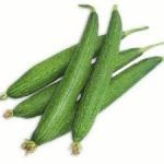 Ridge Gourd