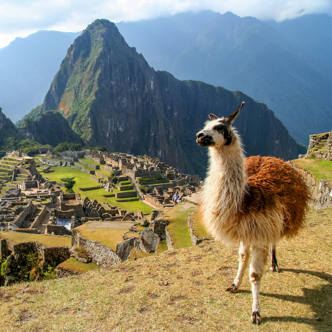 10 Bucket List Places to Consider