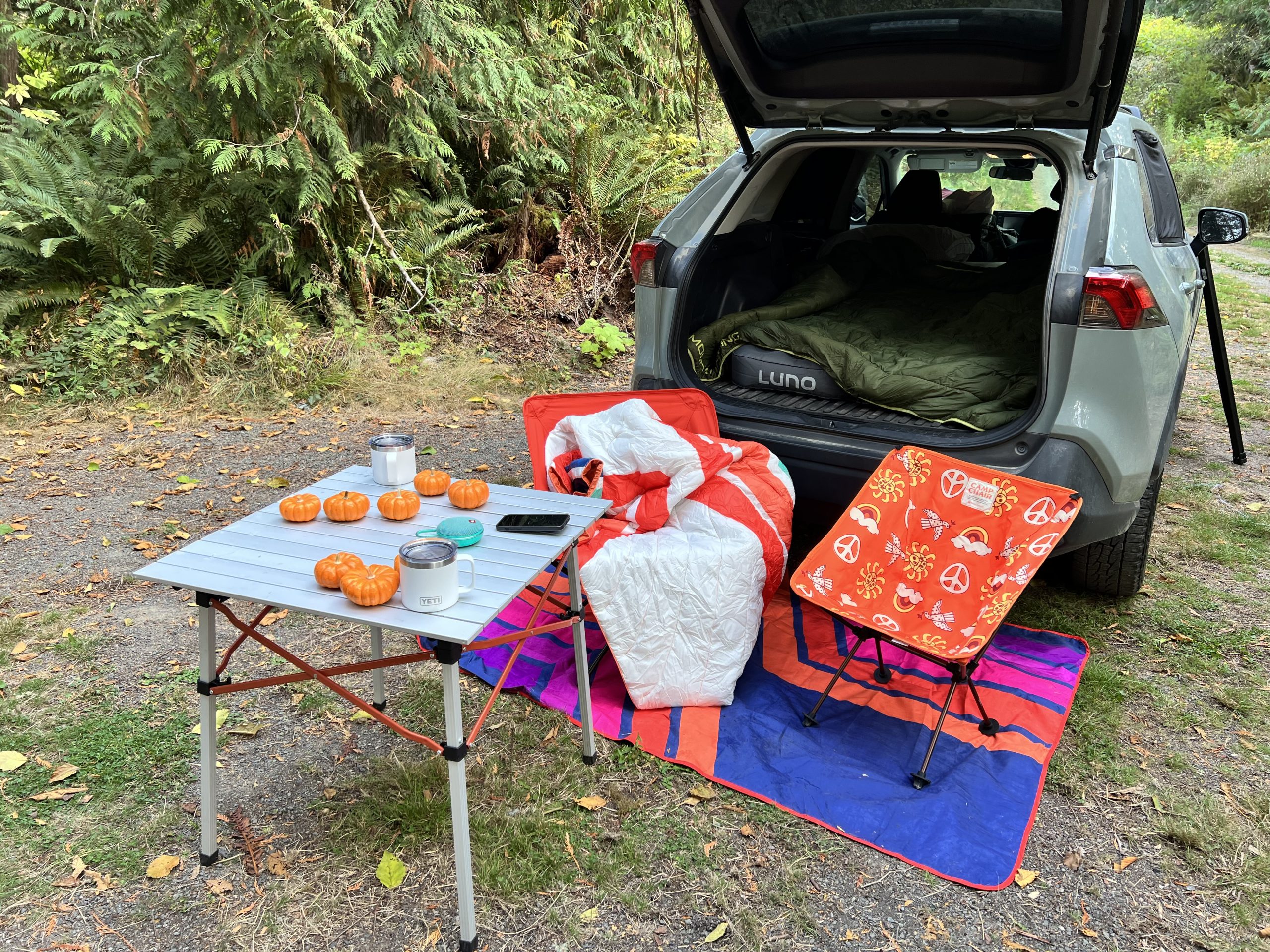 Car Camping Essentials Table and Chairs