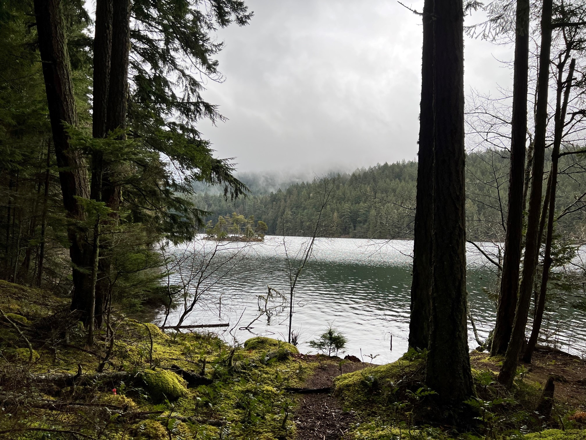 Beginning of the Mount Constitution Trail in Moran State Park