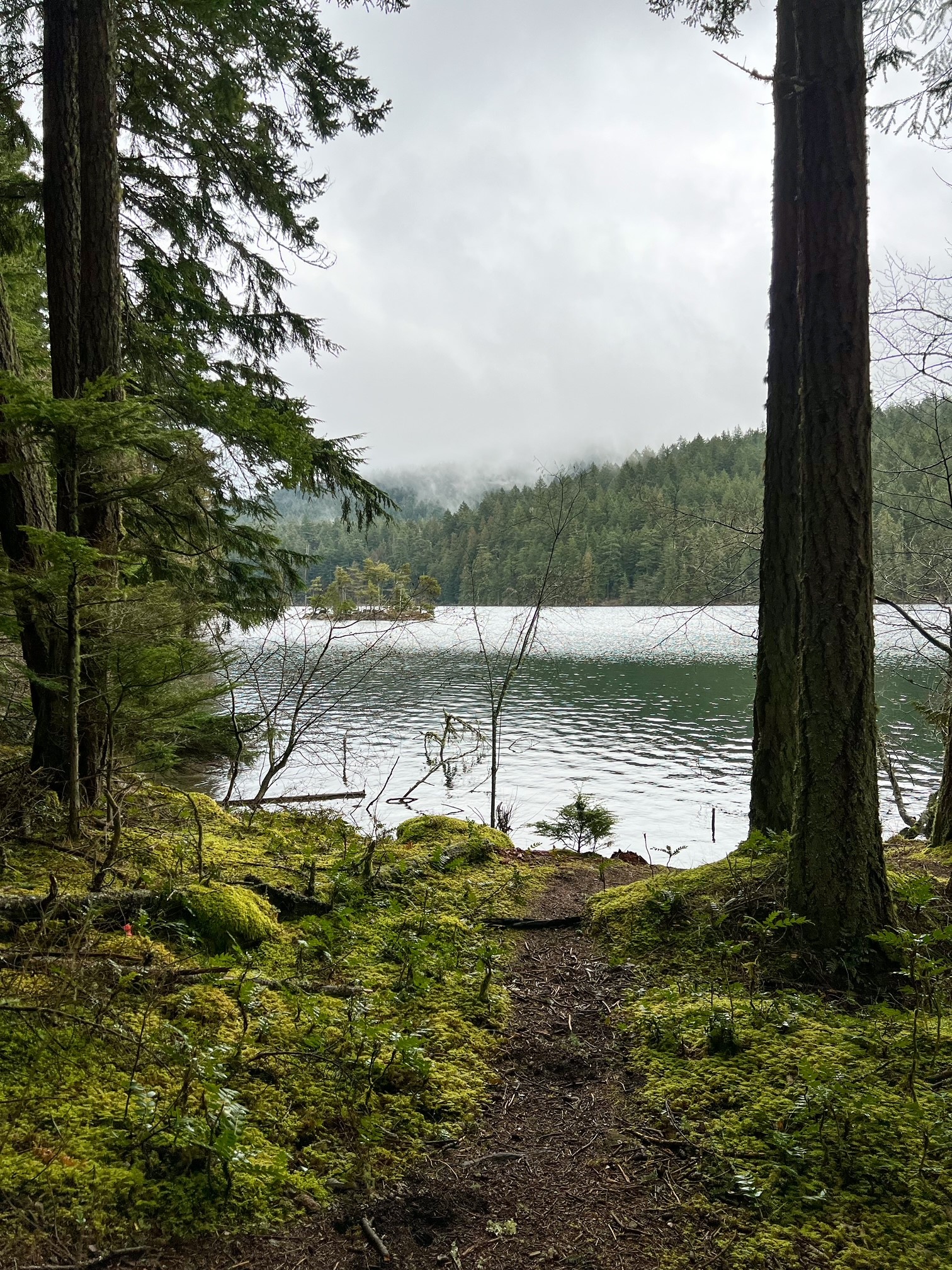 Mountain Lake on Mountain Constitution Trail