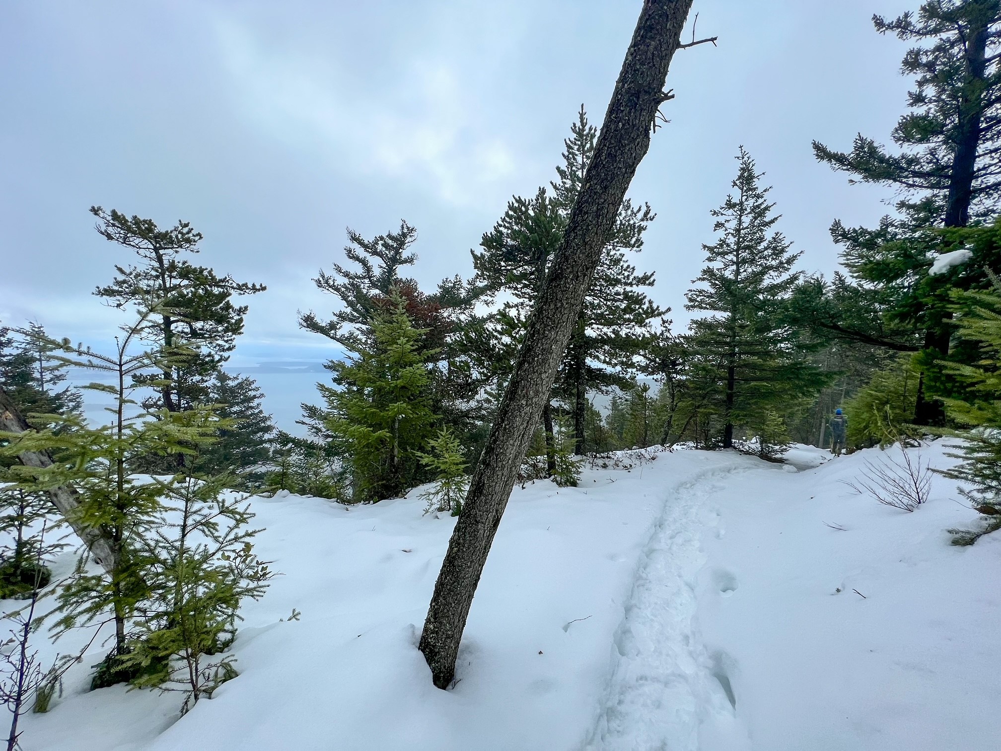 Trail towards little summit on Mount Constitution Trail