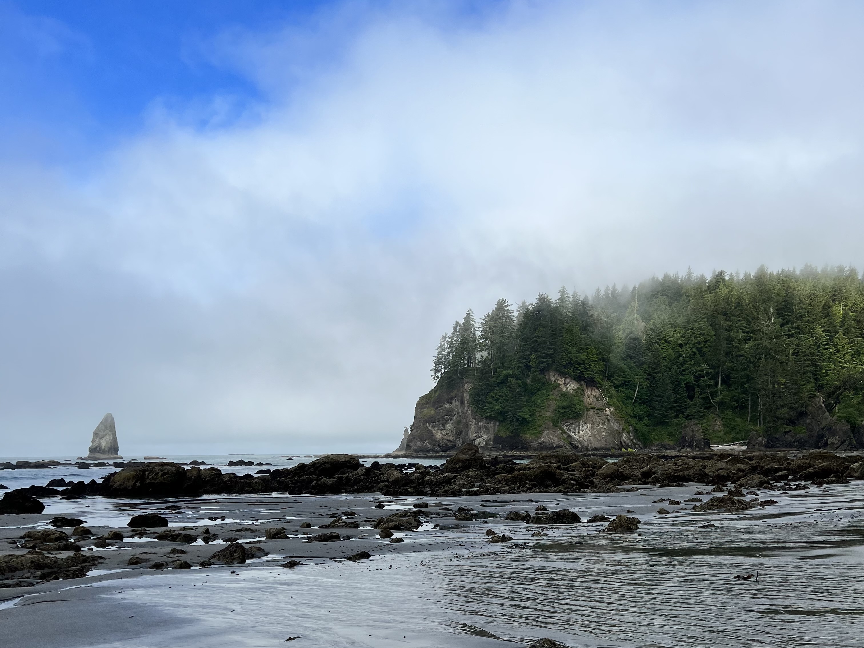 Toleak Point - 100 Classic Hike of Washington in Olympic National Park