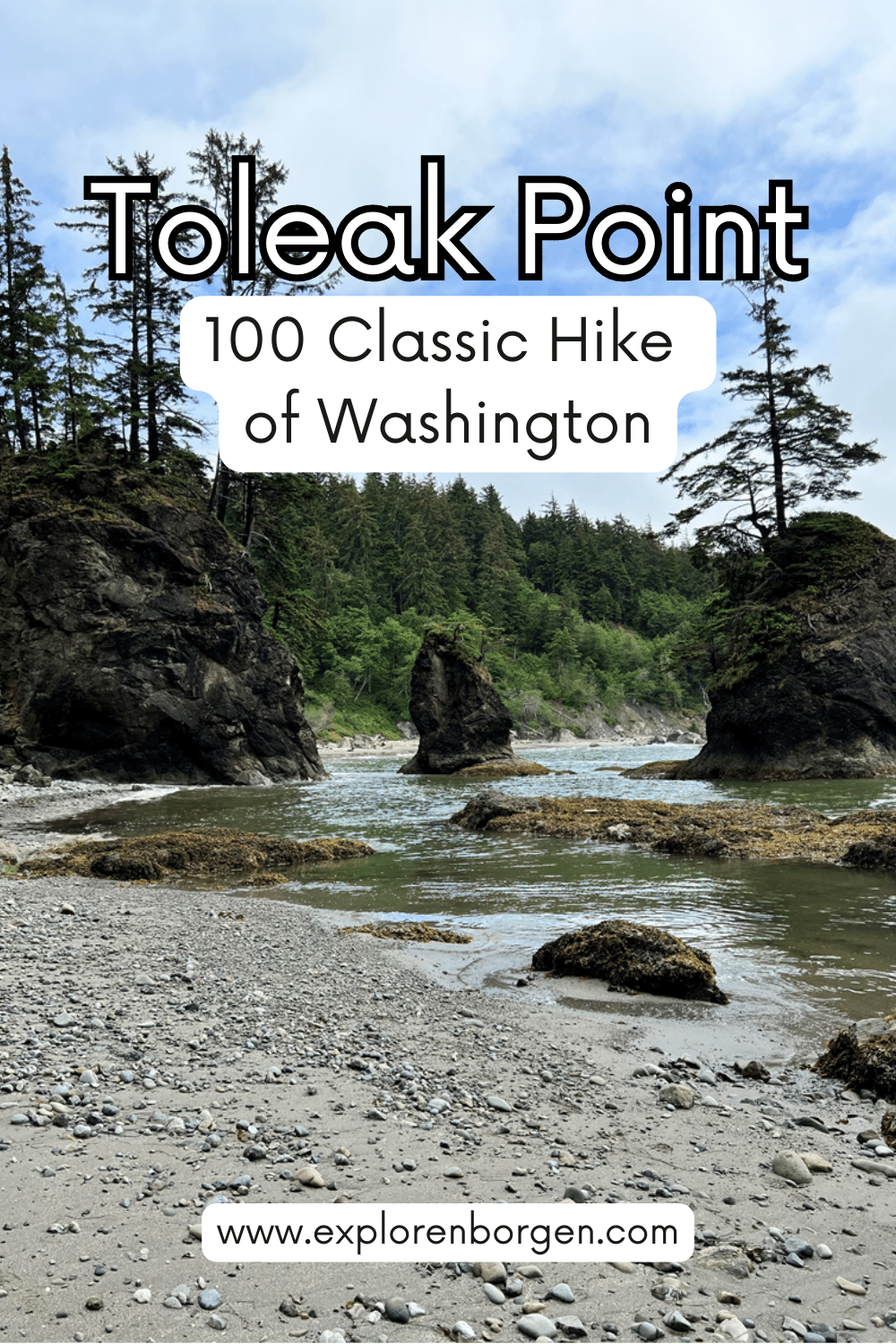 Toleak Point Pin #1