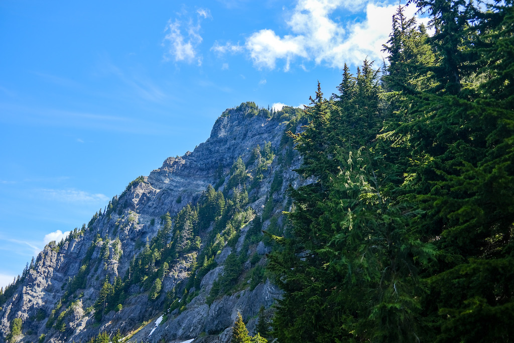 View of Mount Dickerman from the Trail