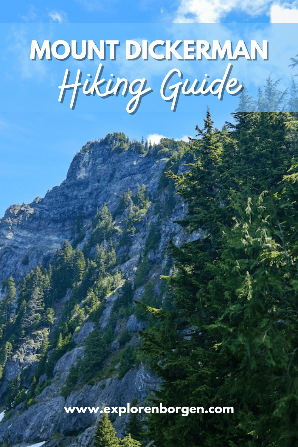 Mount Dickerman Pin #1