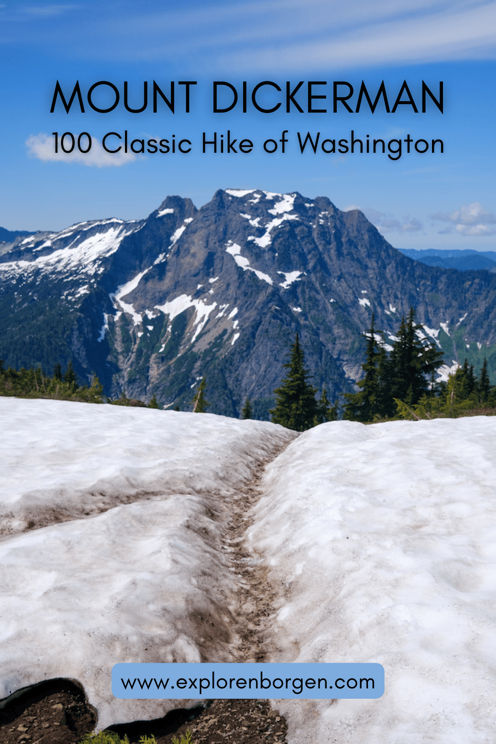 Mount Dickerman Pin #2
