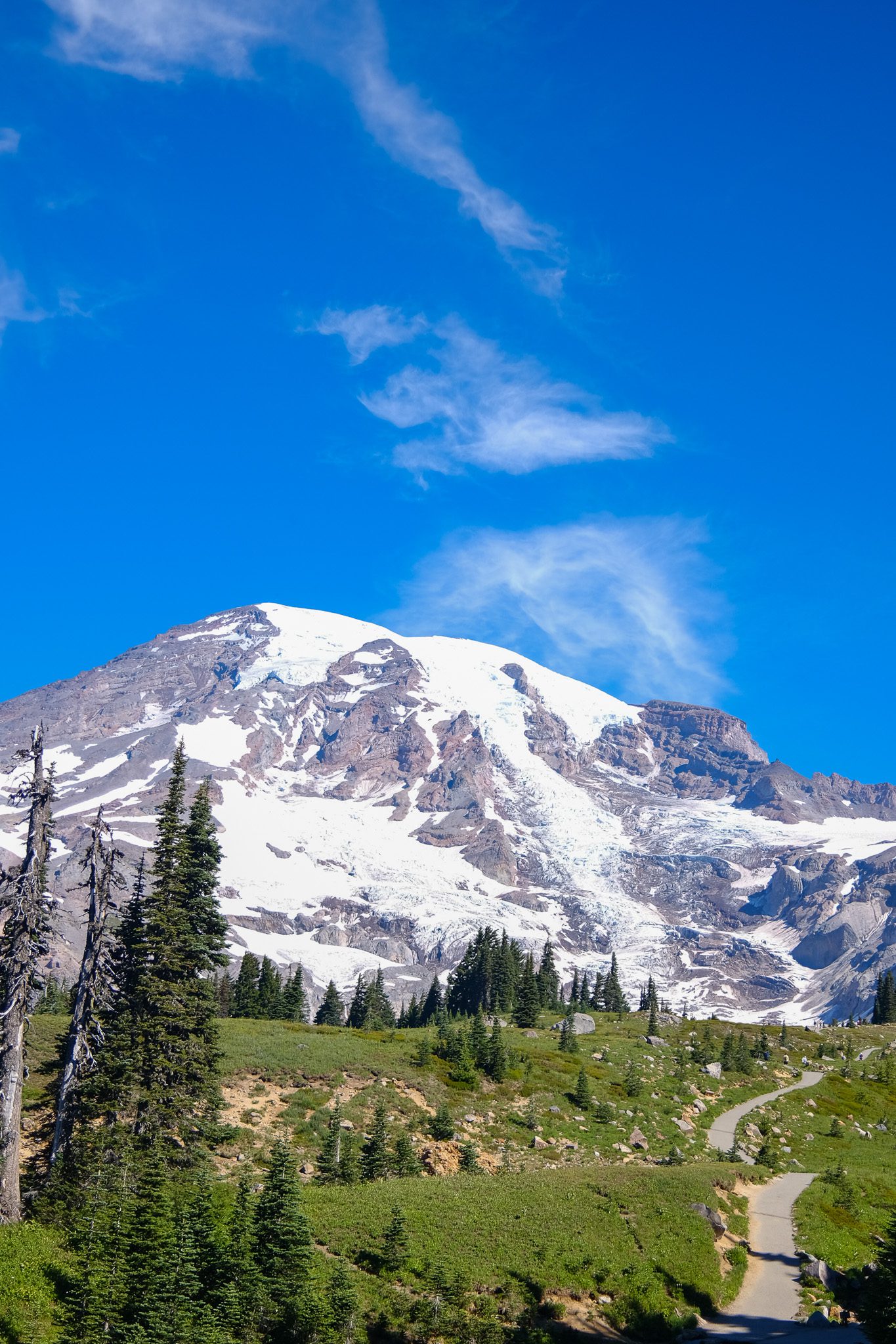 View of Mount Rainier with a trail in the foreground
