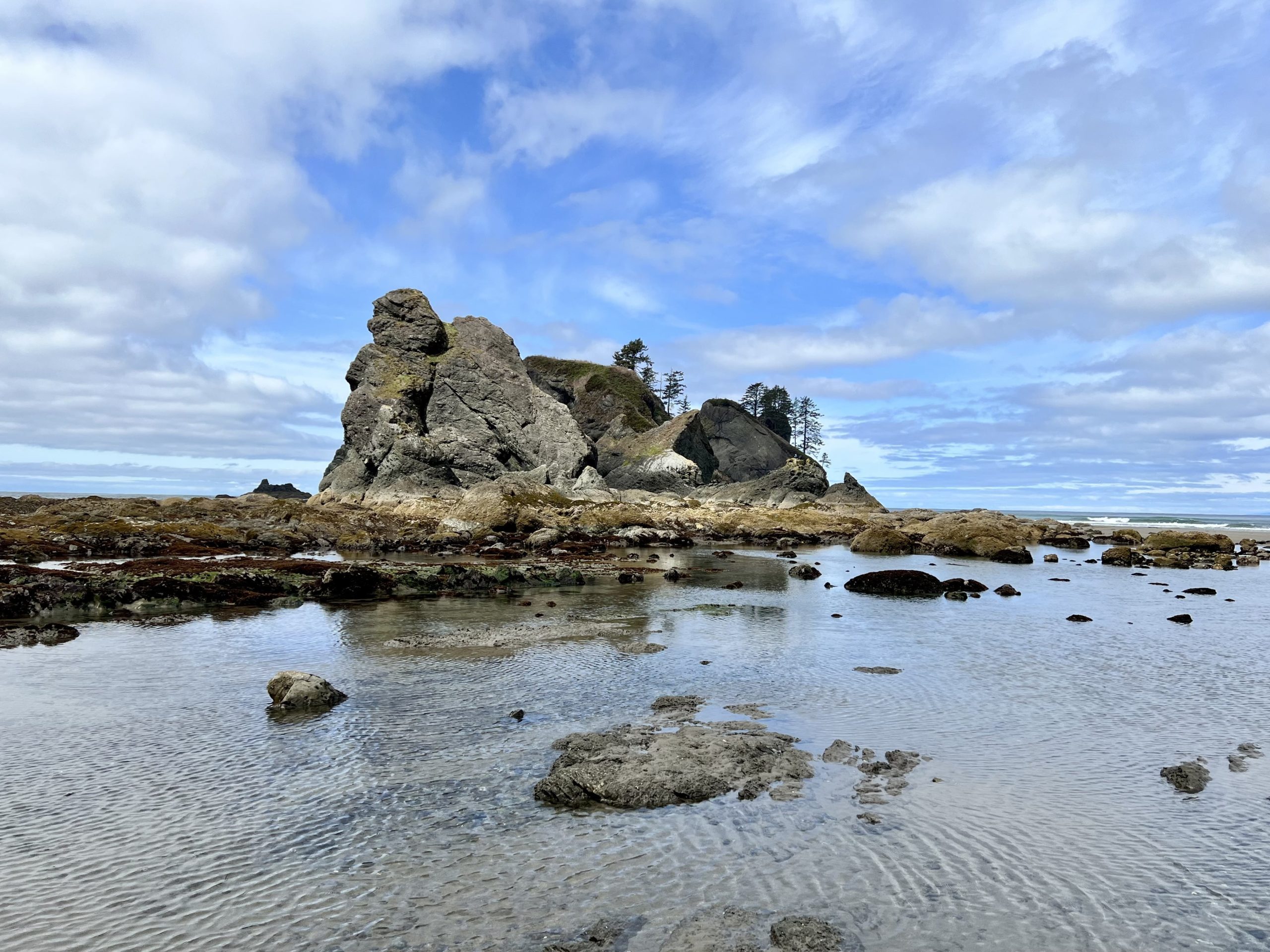 Shi Shi Beach in Olympic National park