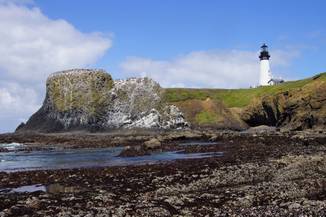 Yaquina Head Lighthouse on the Oregon Coast on a sunny day