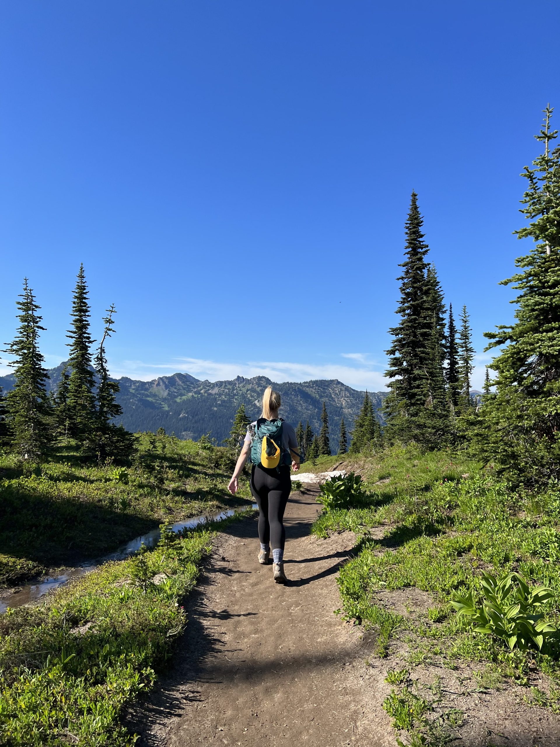 Women hiking on a wide trail