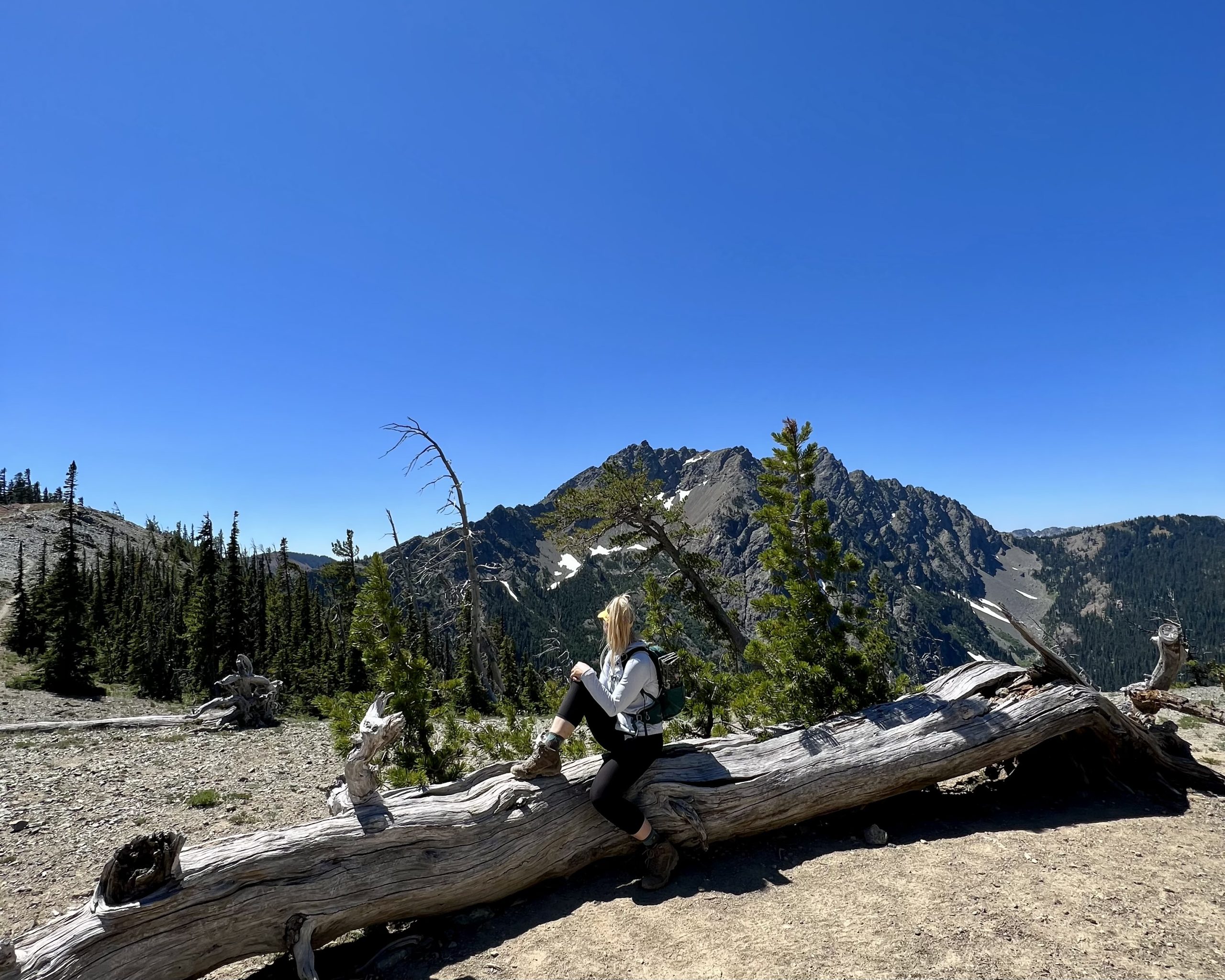 Female hiker sits on fallen tree looking at mountains