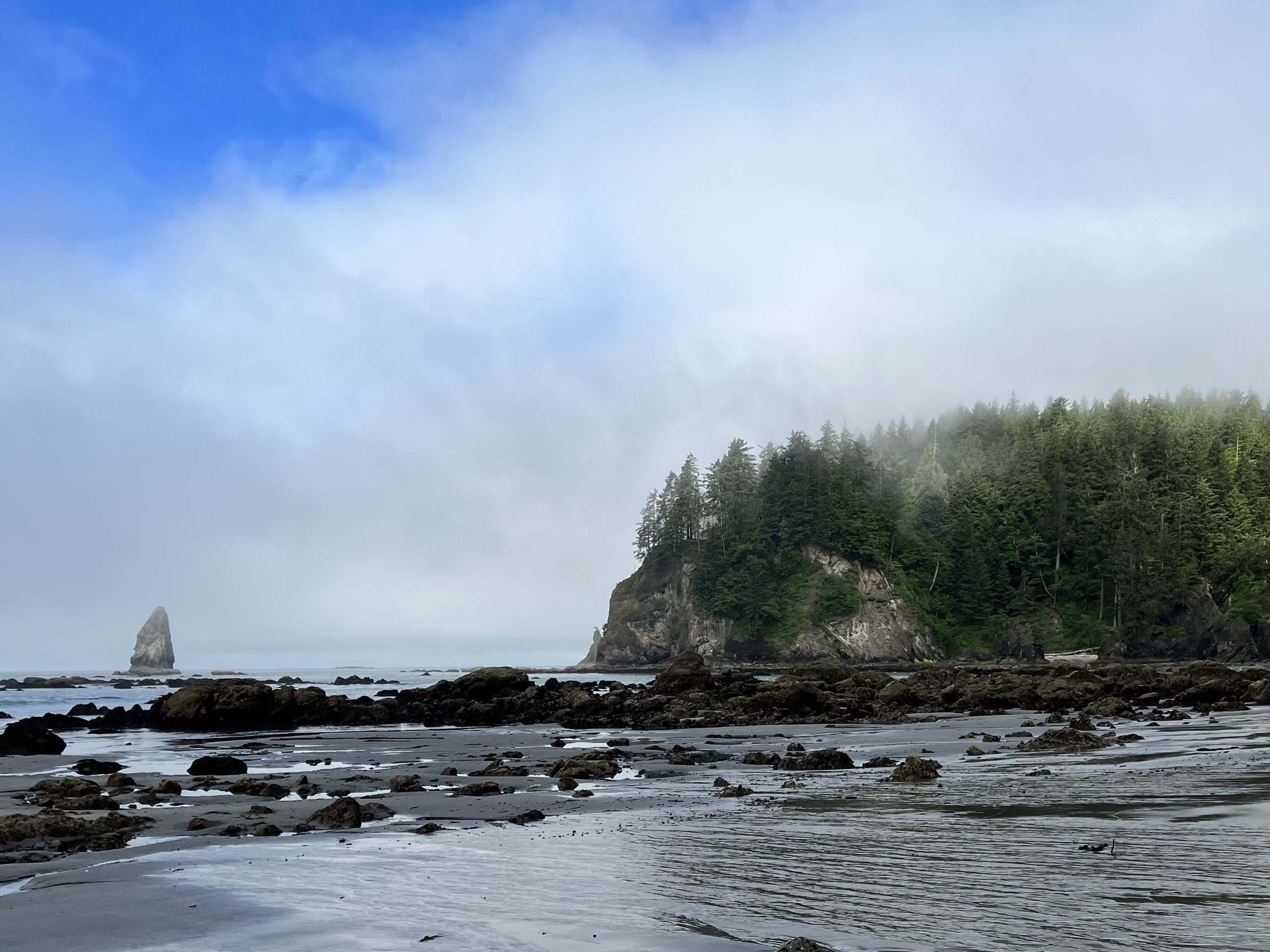 Toleak Point Beach with trees