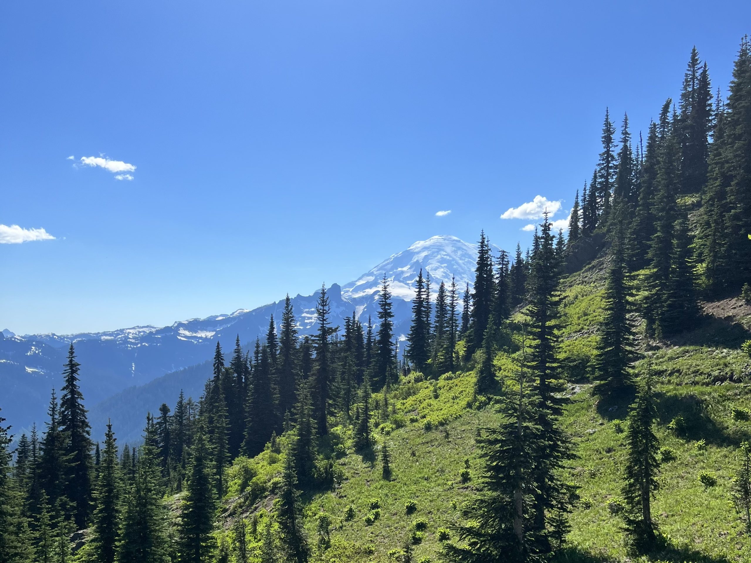 Mount Rainier