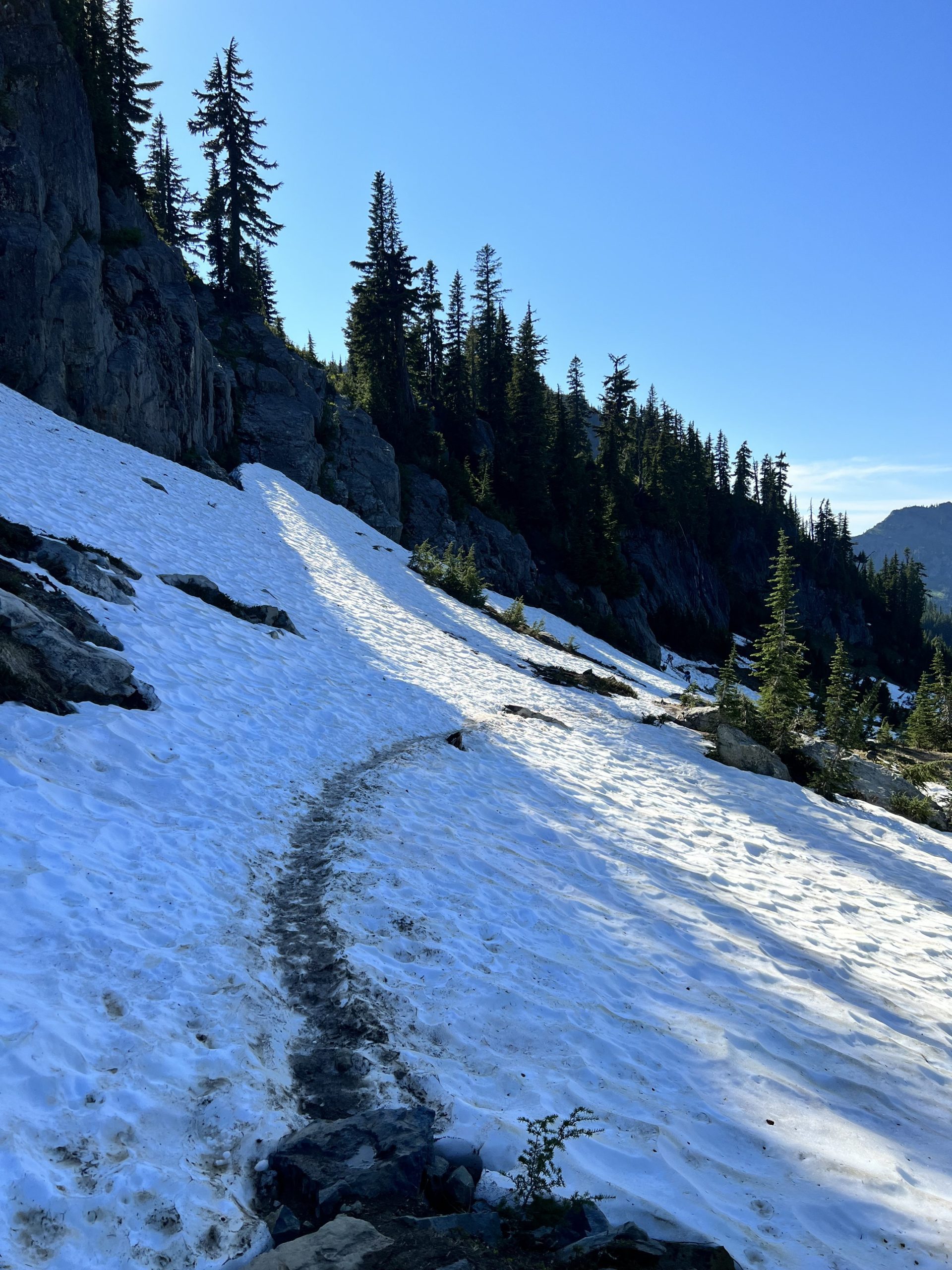 Snowy Trail