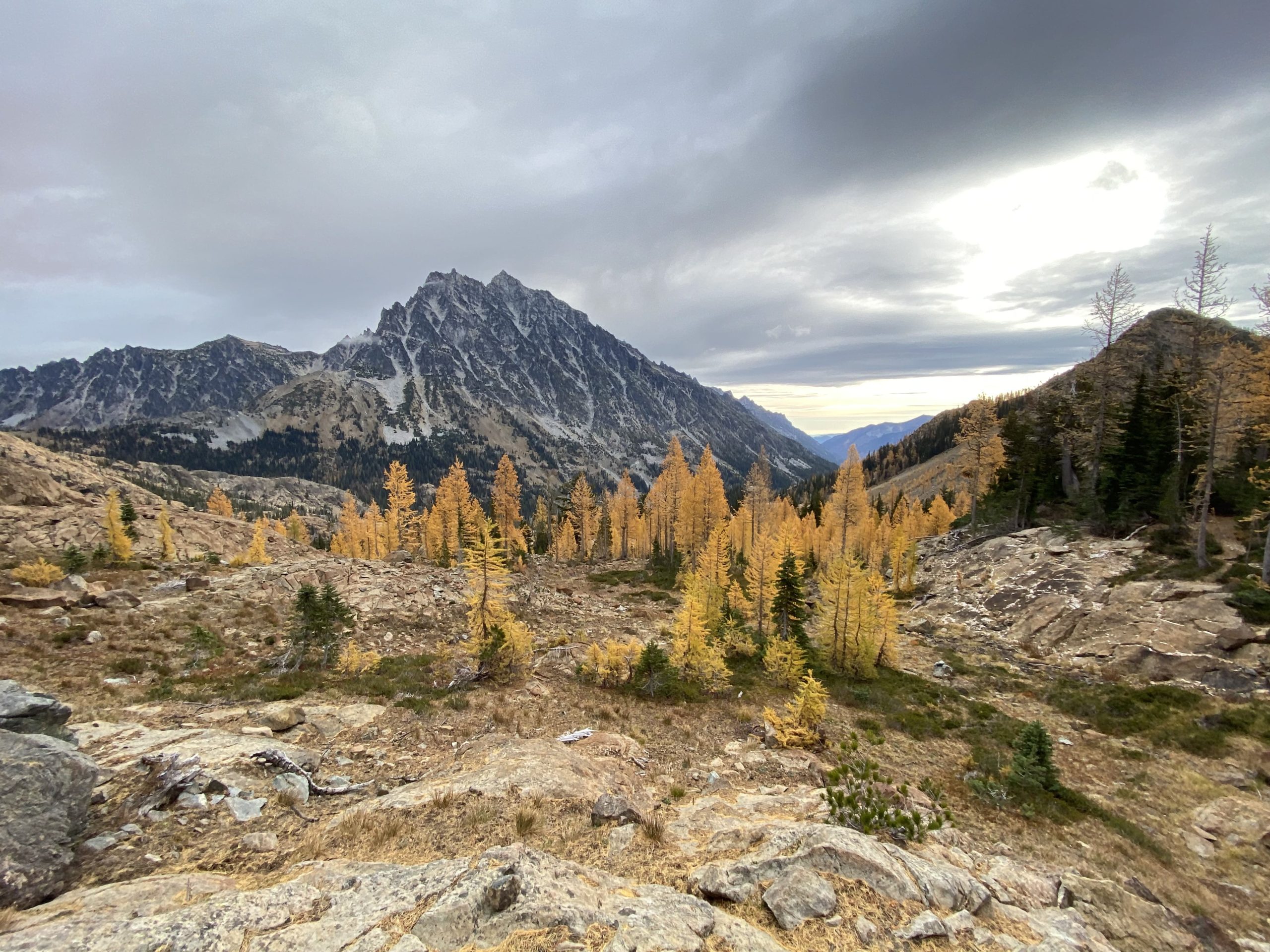 Overcast day with fall foliage and larch trees
