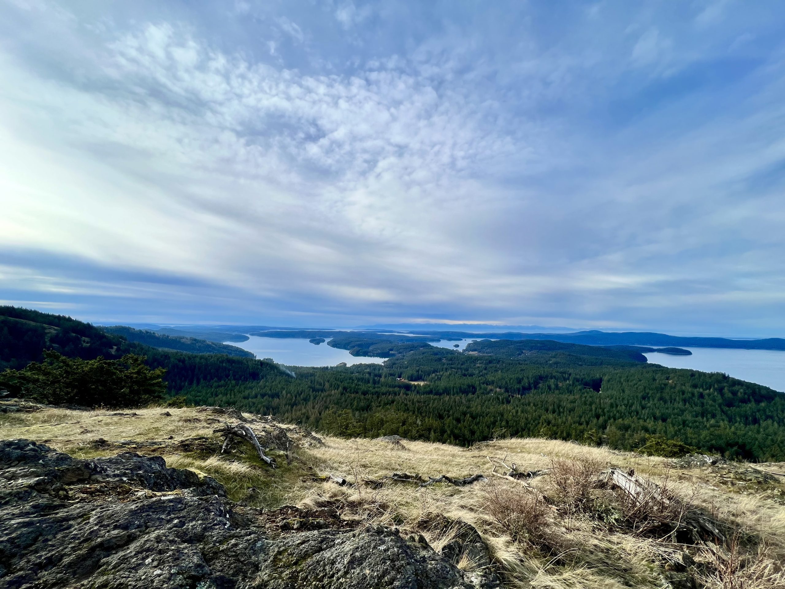 Trail overlook
