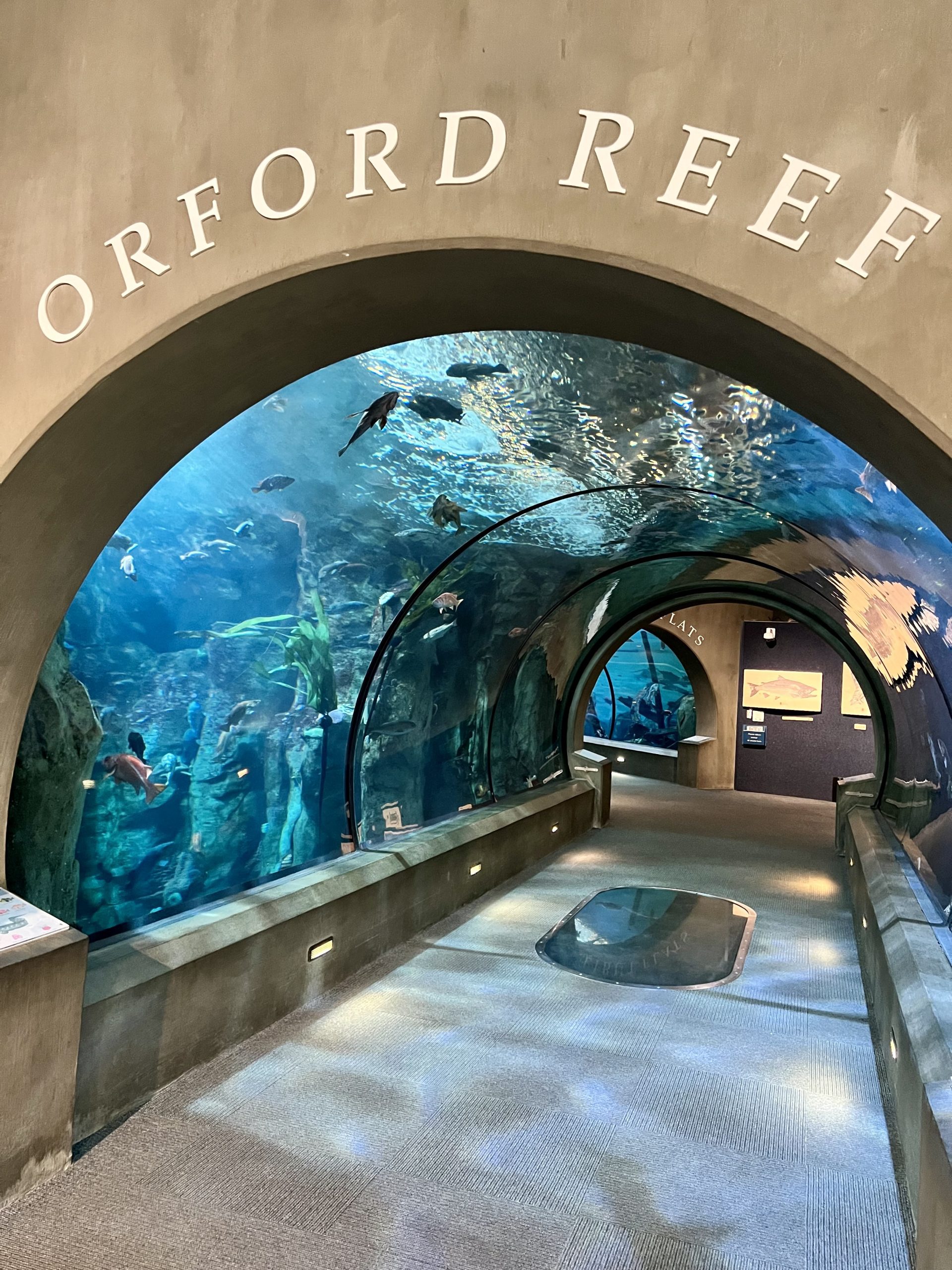 Oregon Coast Aquarium is a must stop on any coastal road trip