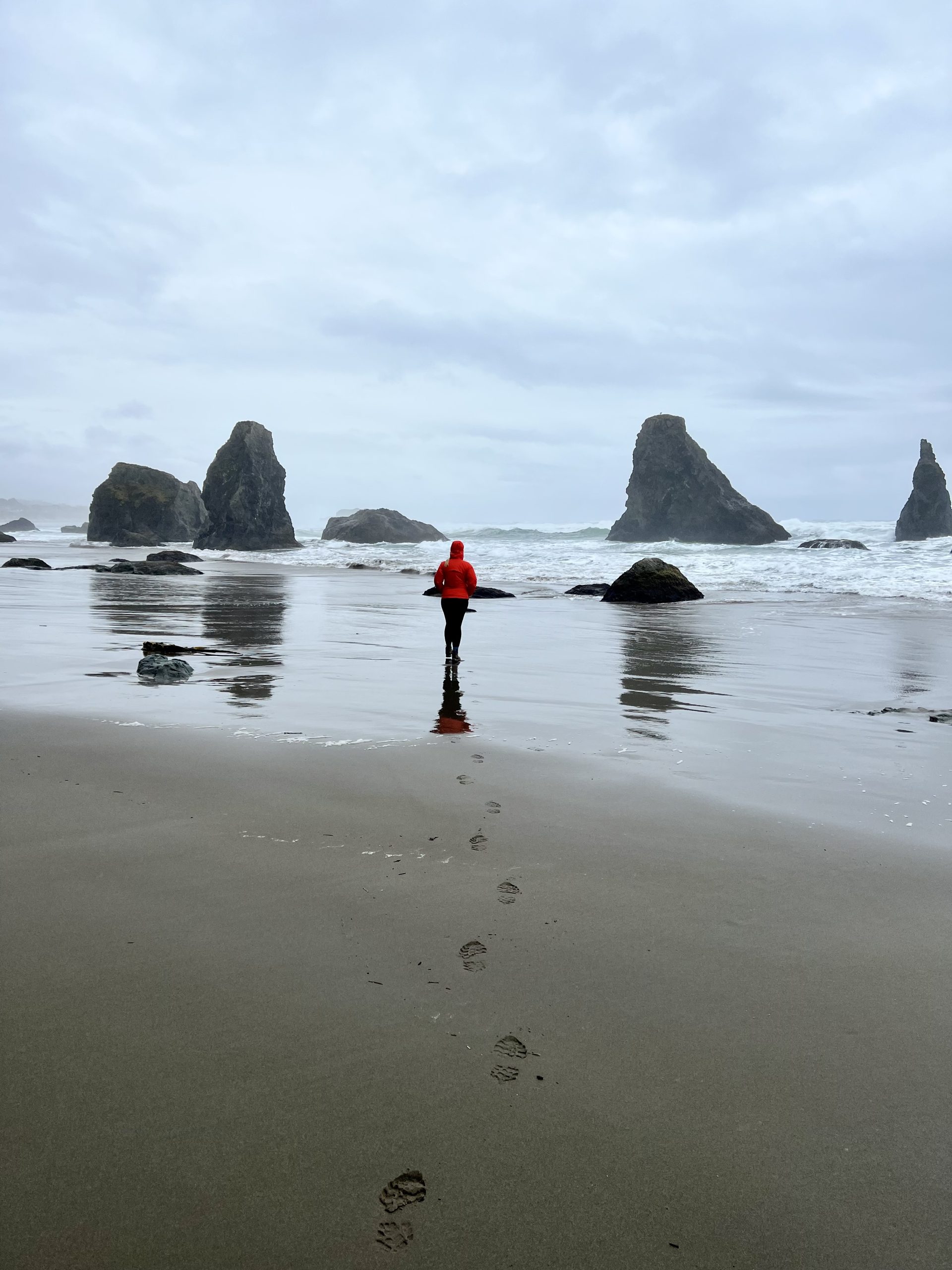 Face Rock and Wildlife Refuge is a great stopping point for all road trips along the Oregon Coast