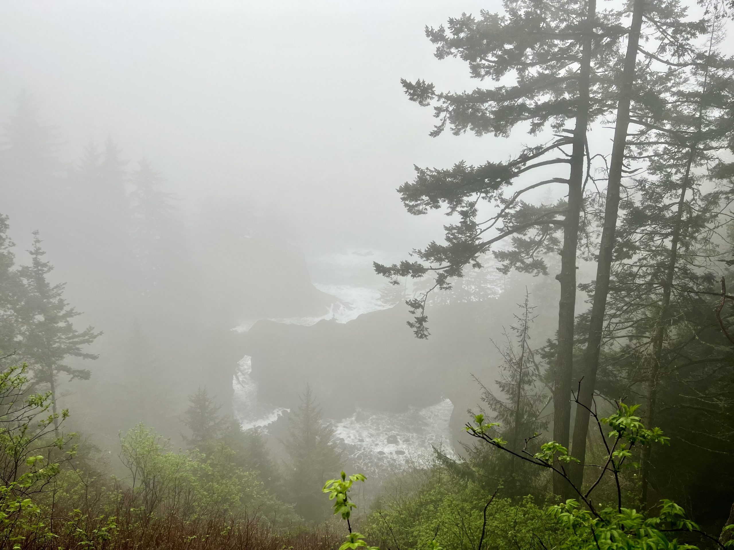 Natural Bridges is an iconic stop along the Oregon Coast