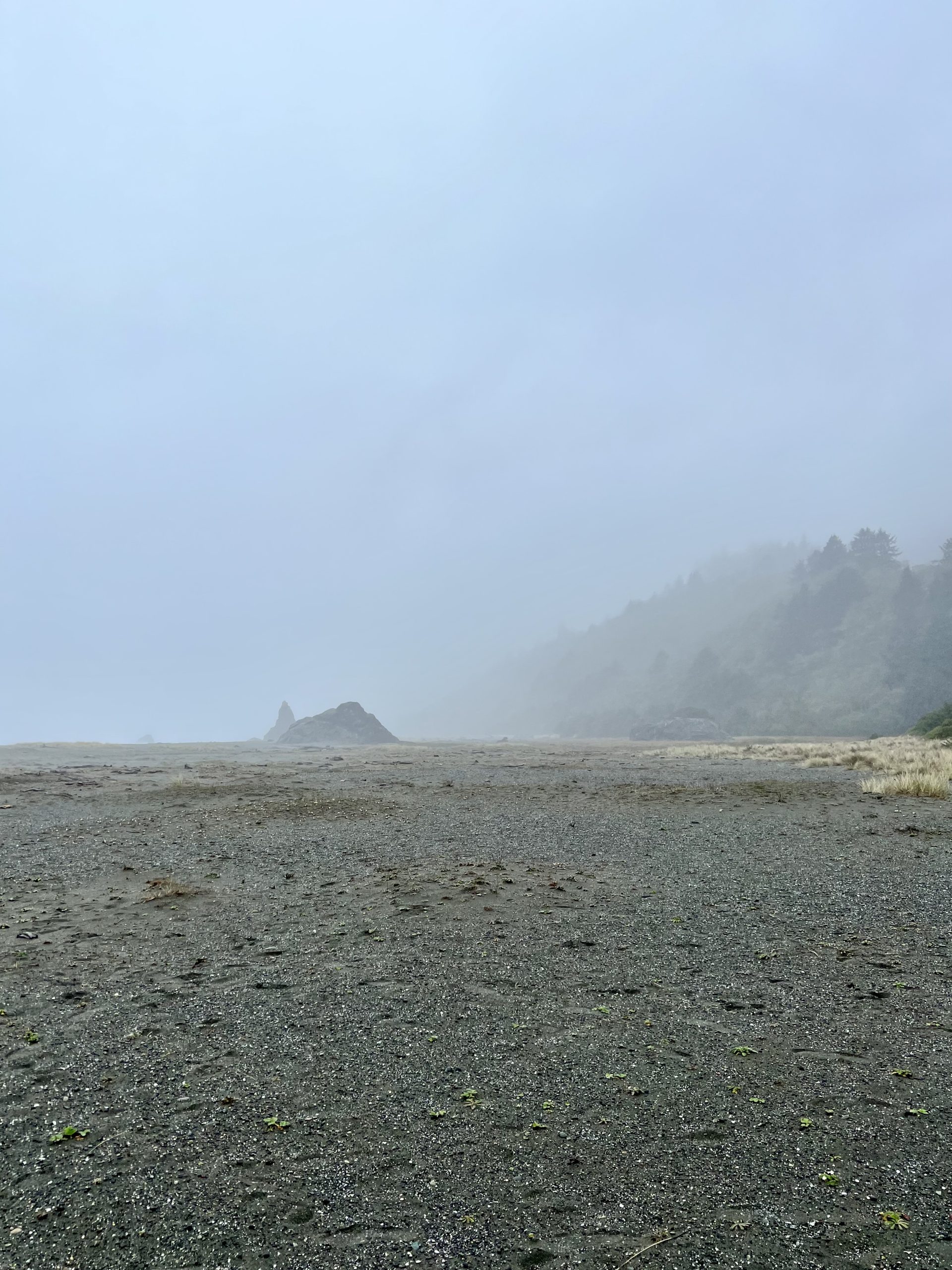 Gold Bluff Beach on hike in Redwoods National Park in California