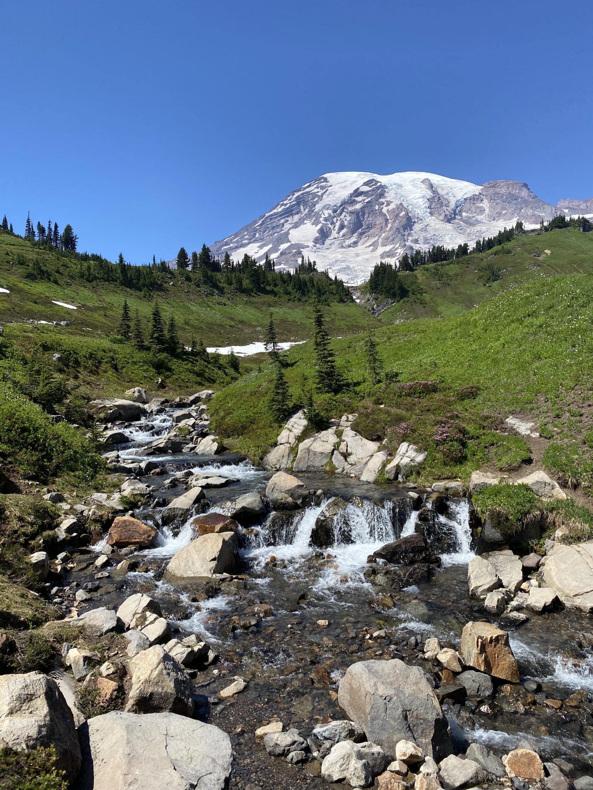 Mount Rainier