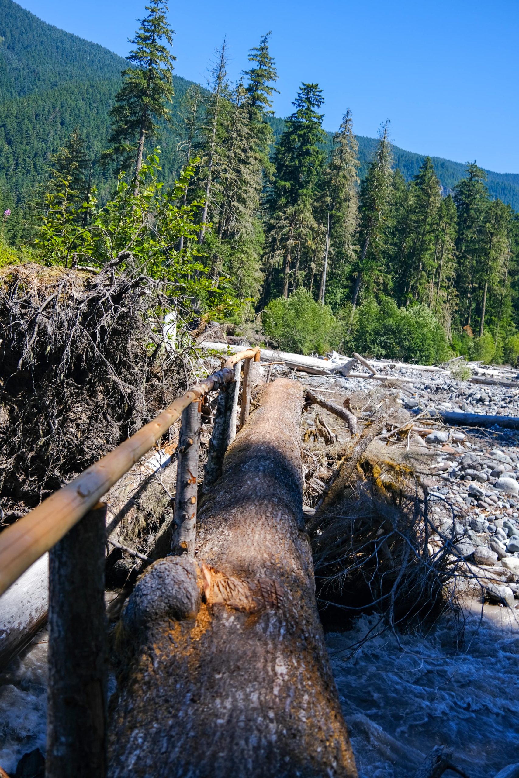 Log bridge across a river