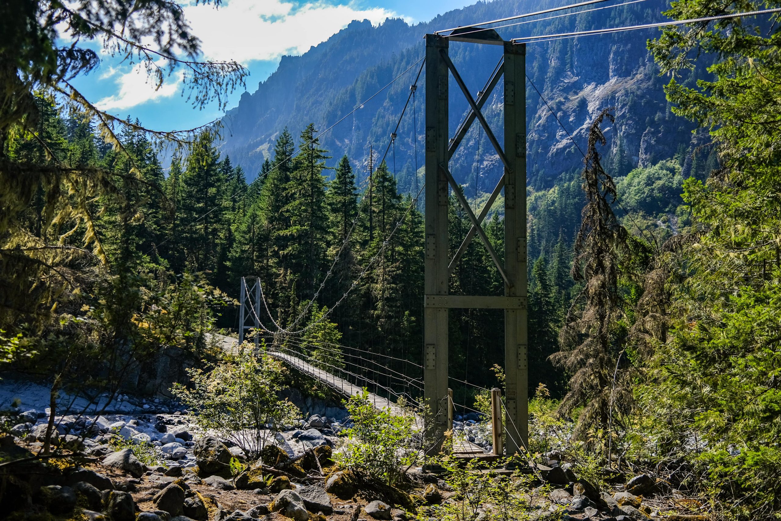 Suspension Bridge in Mount Rainier