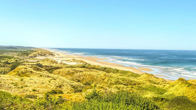 Florence Or Influence Relocation - Colorful Texture Collection - Retina Quality