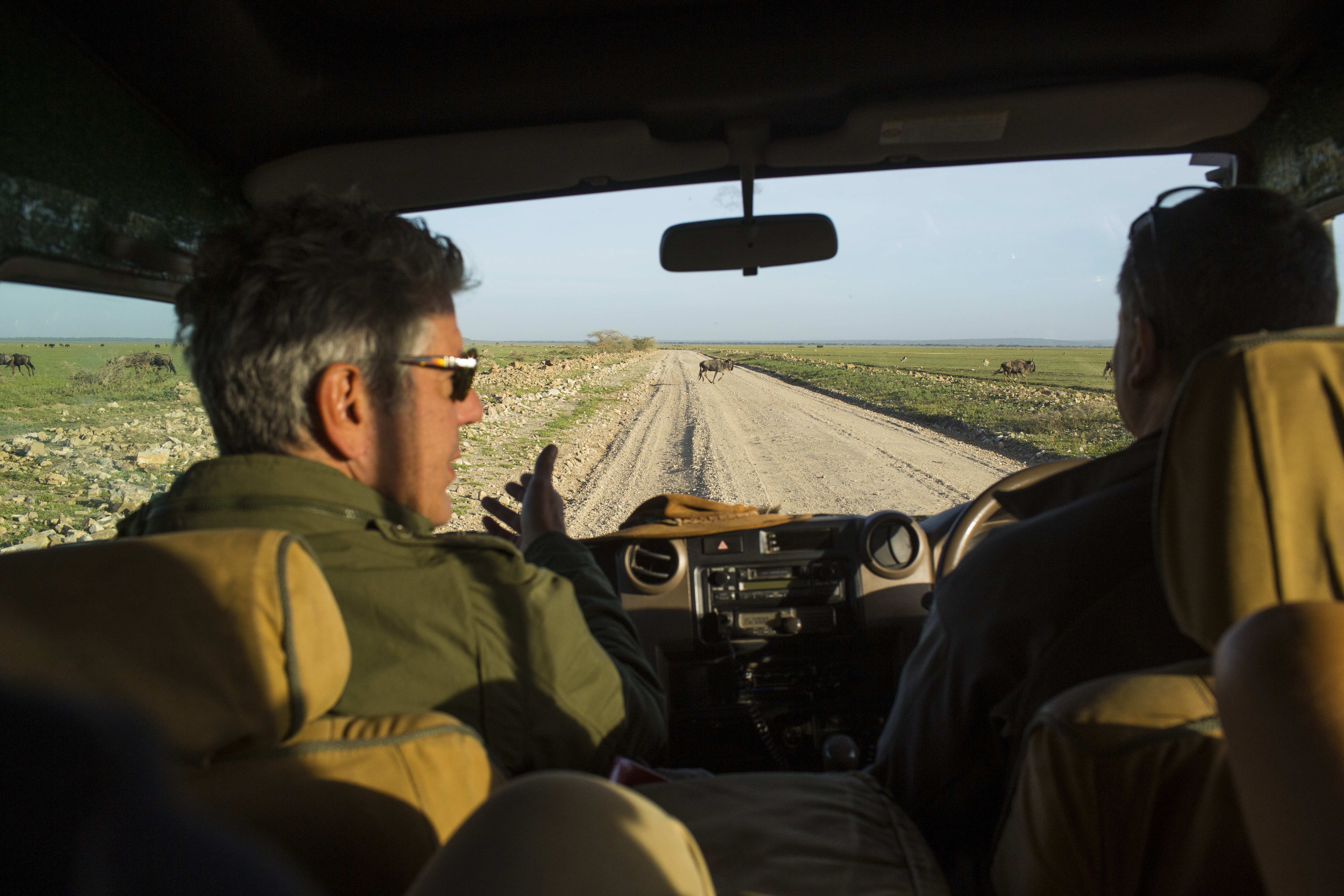 3 Explore Parts Unknown - Premium Colorful Pattern Gallery - Retina