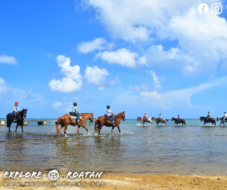 Explore Roatan - Home