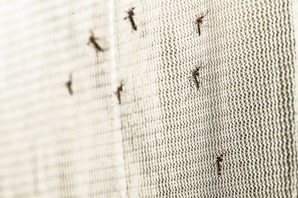 DEET Insect Repellent: A Surprising Attraction for Mosquitoes (2026)