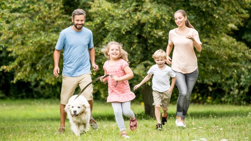 Waller County Explore Texas - Desktop Geometric Textures for Desktop