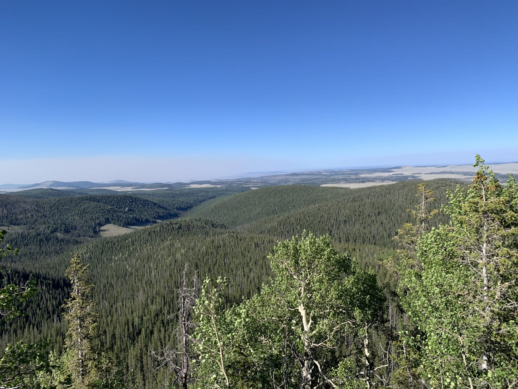 Backpacking the Mount Baldy Loop in Eastern Arizona