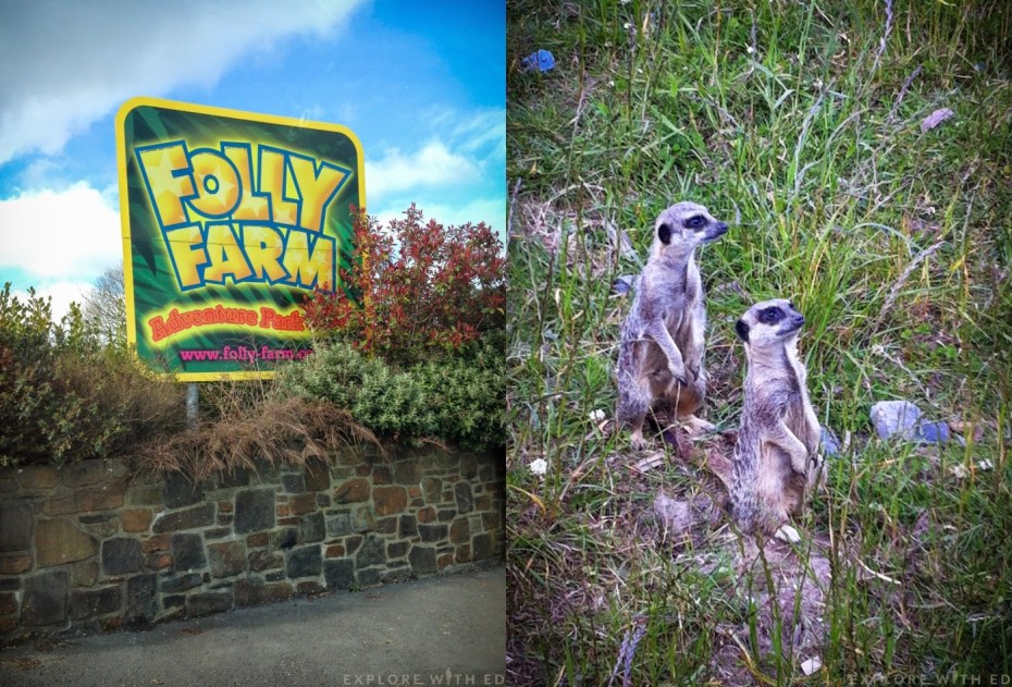 Folly Farm in West Wales