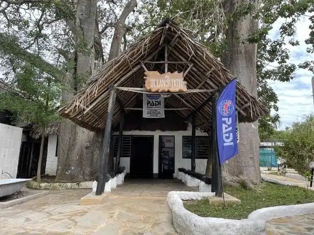Scuba diving in Diani