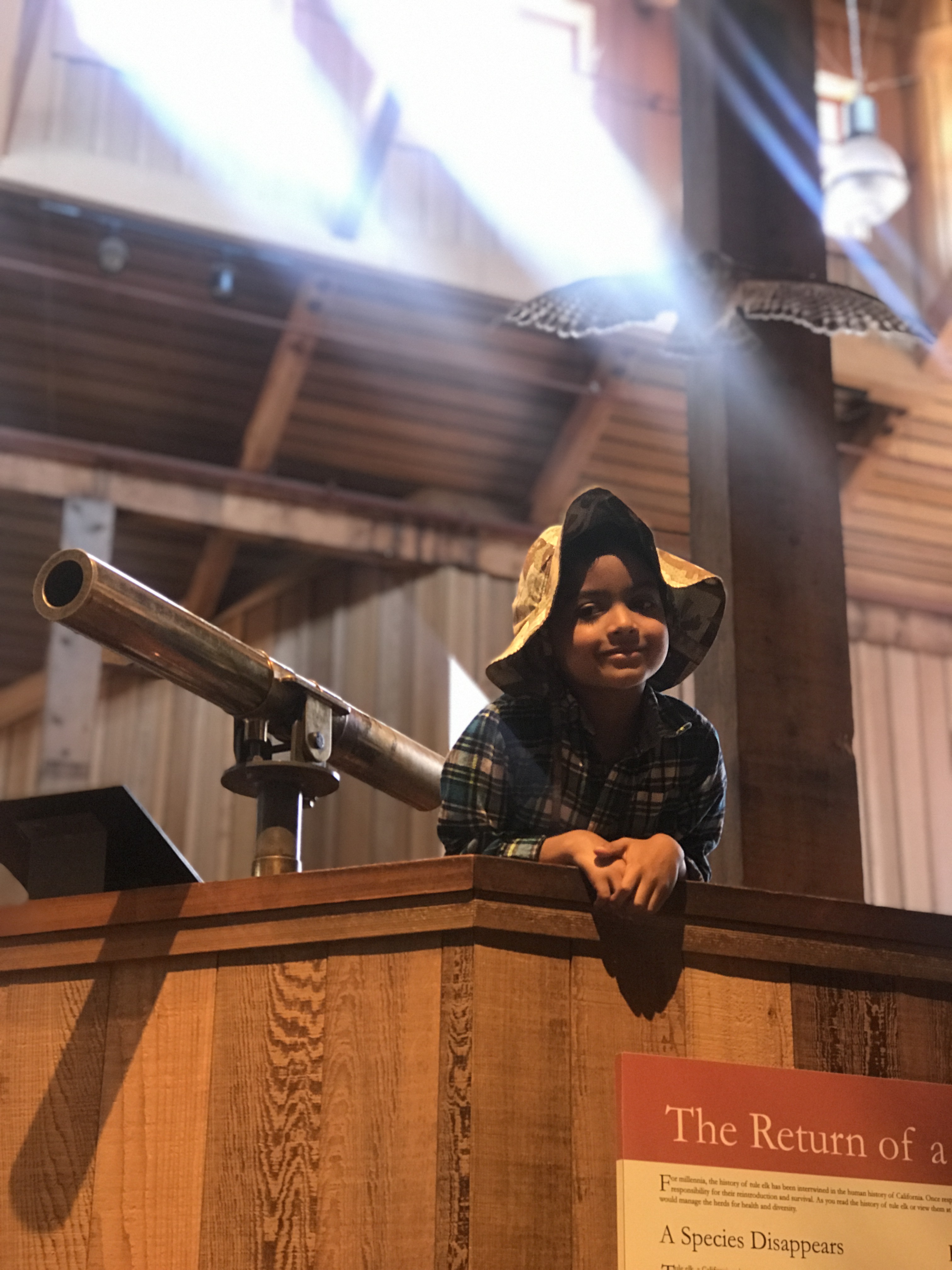 Hanging out in the binocular alley!