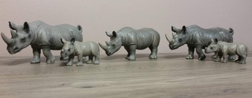 Black rhino collection