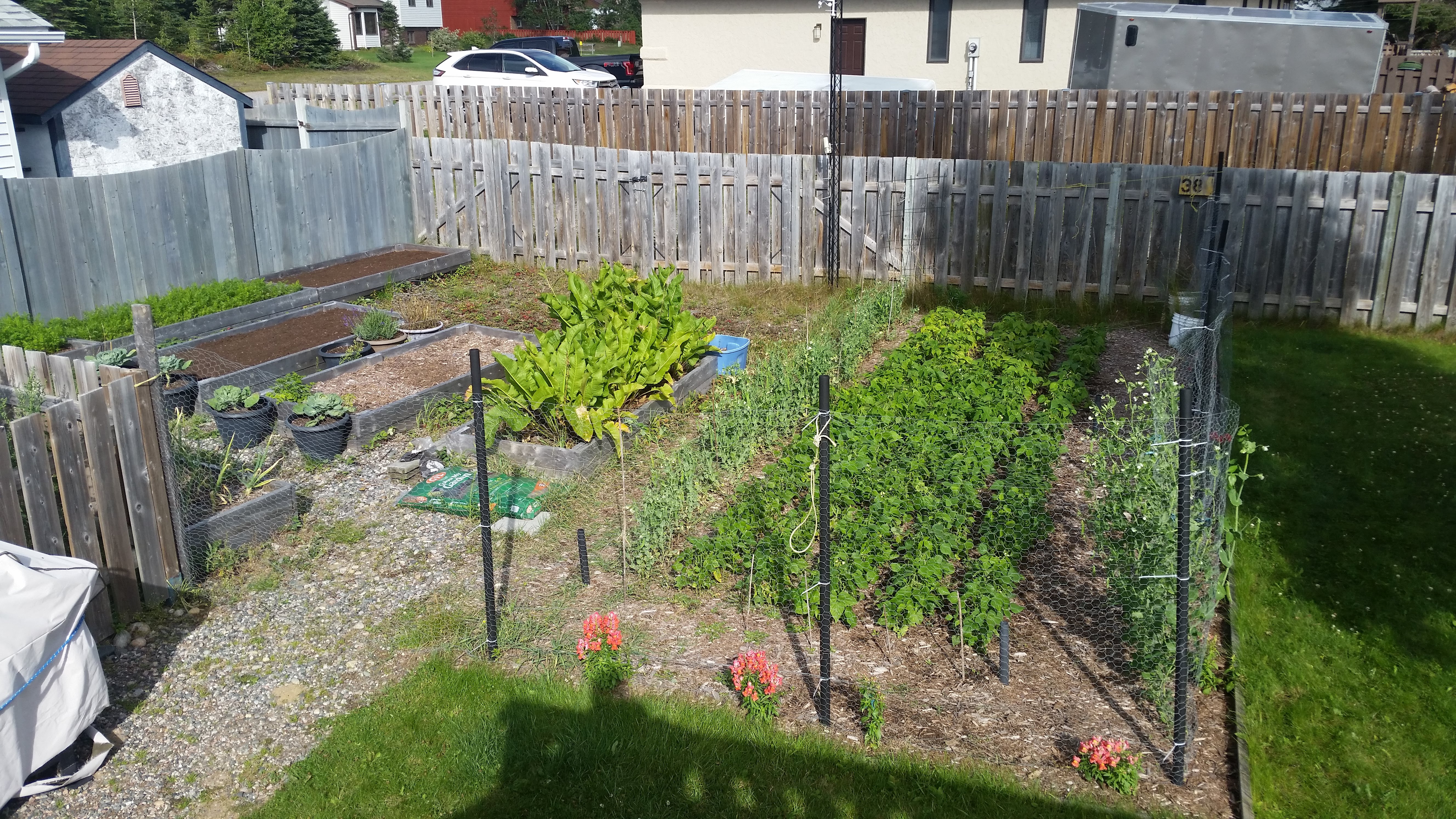 The garden in August. Things are looking lush but still a bit behind.