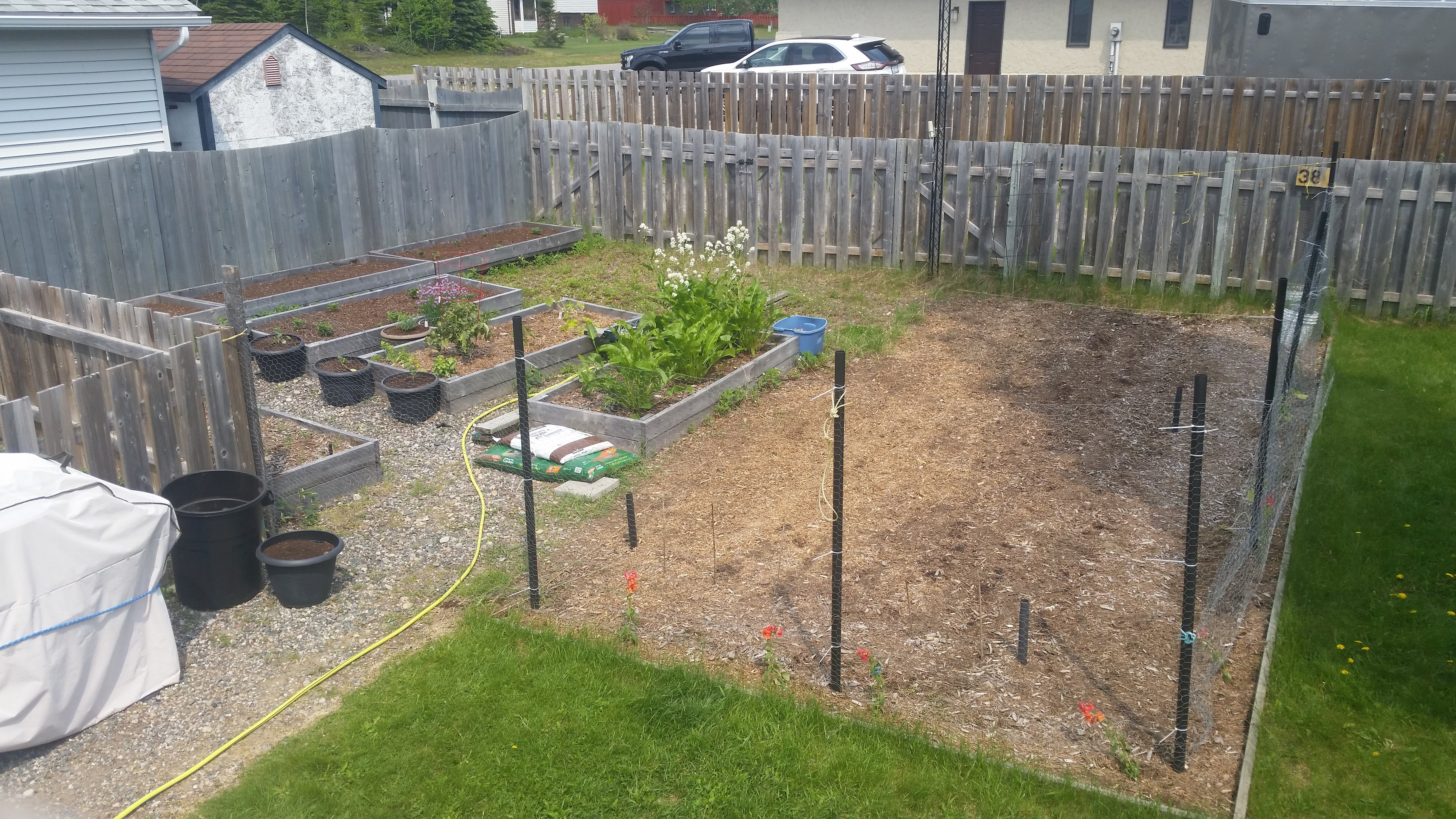 The garden in June after plating. Not much to see here!