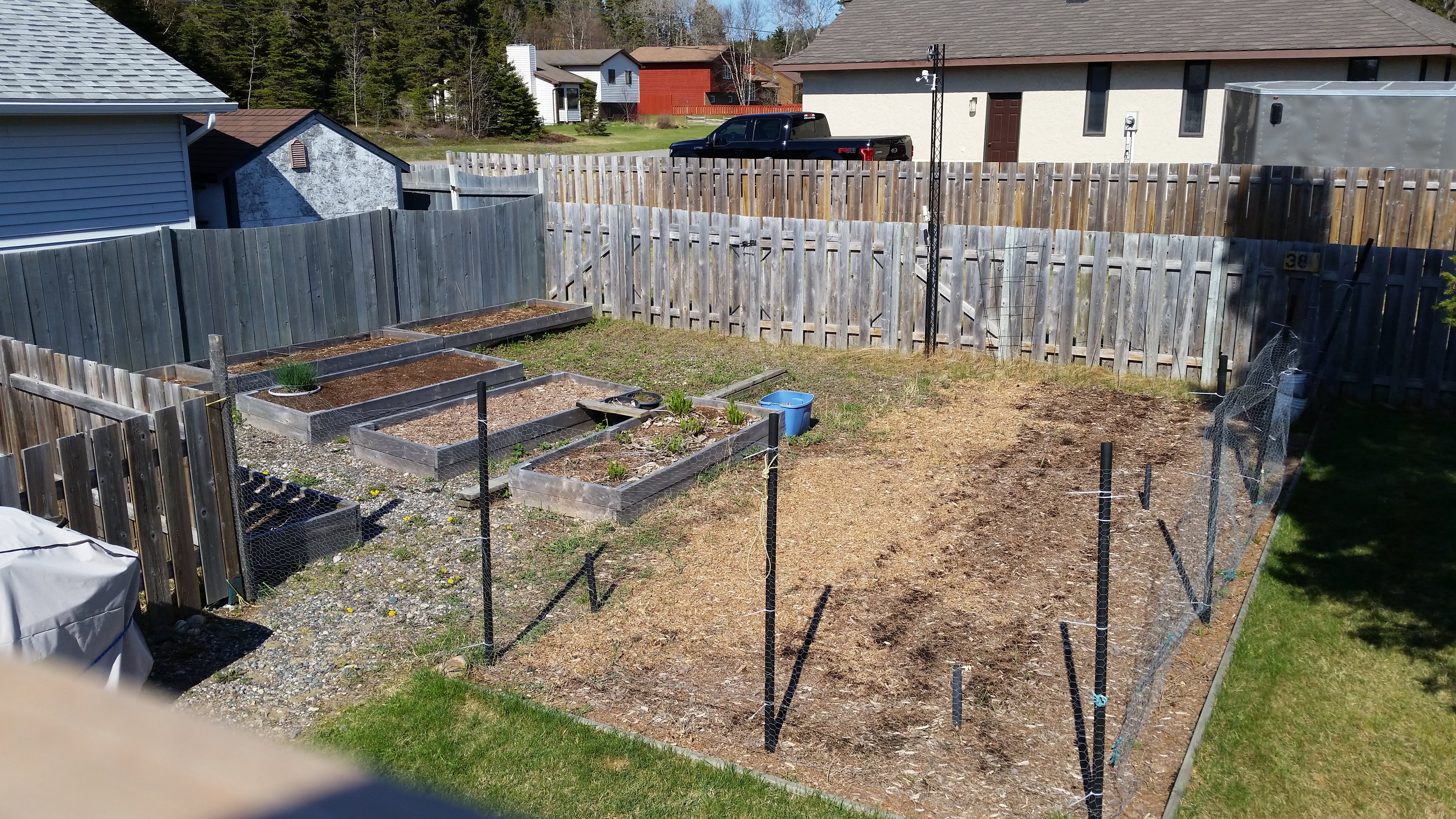 The garden in May before plating.