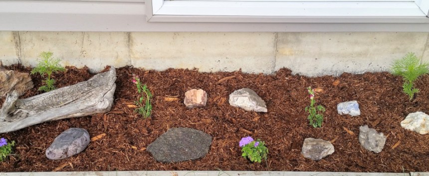 Garden update June 2019: The front garden planted with various flowers and decorative rocks.