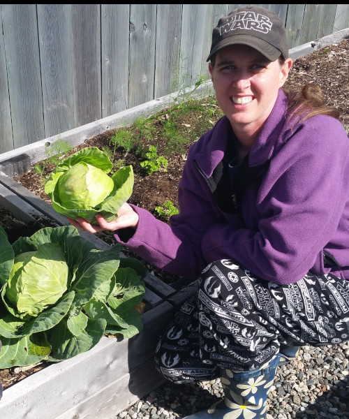 A picture of myself kneeling in the garden holding a freshly harvested cabbage as the sun is shining.