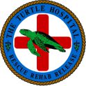 Turtle-Hospital-Logo