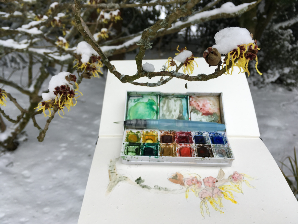 Sketching Landart And Unicorns Exploring Colour