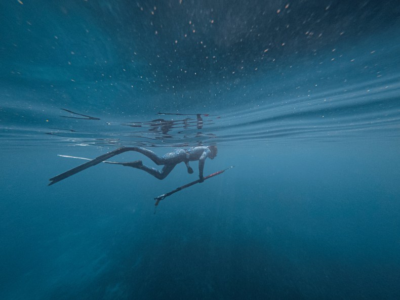 spearfishing sailing recipes