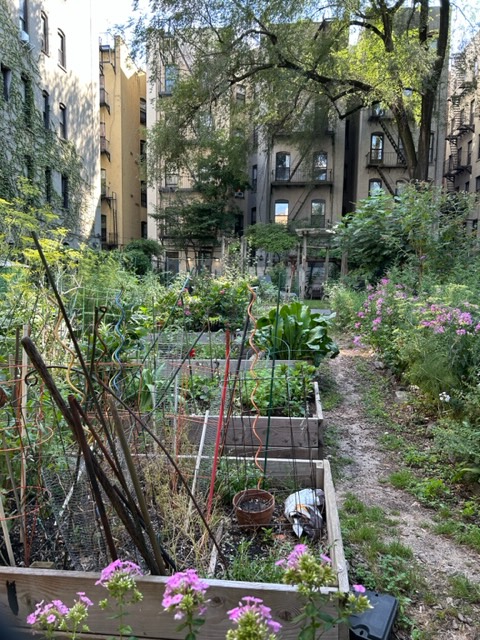 Interesting Community Gardens On The Upper West Side Exploring The 104th St. Community Garden 