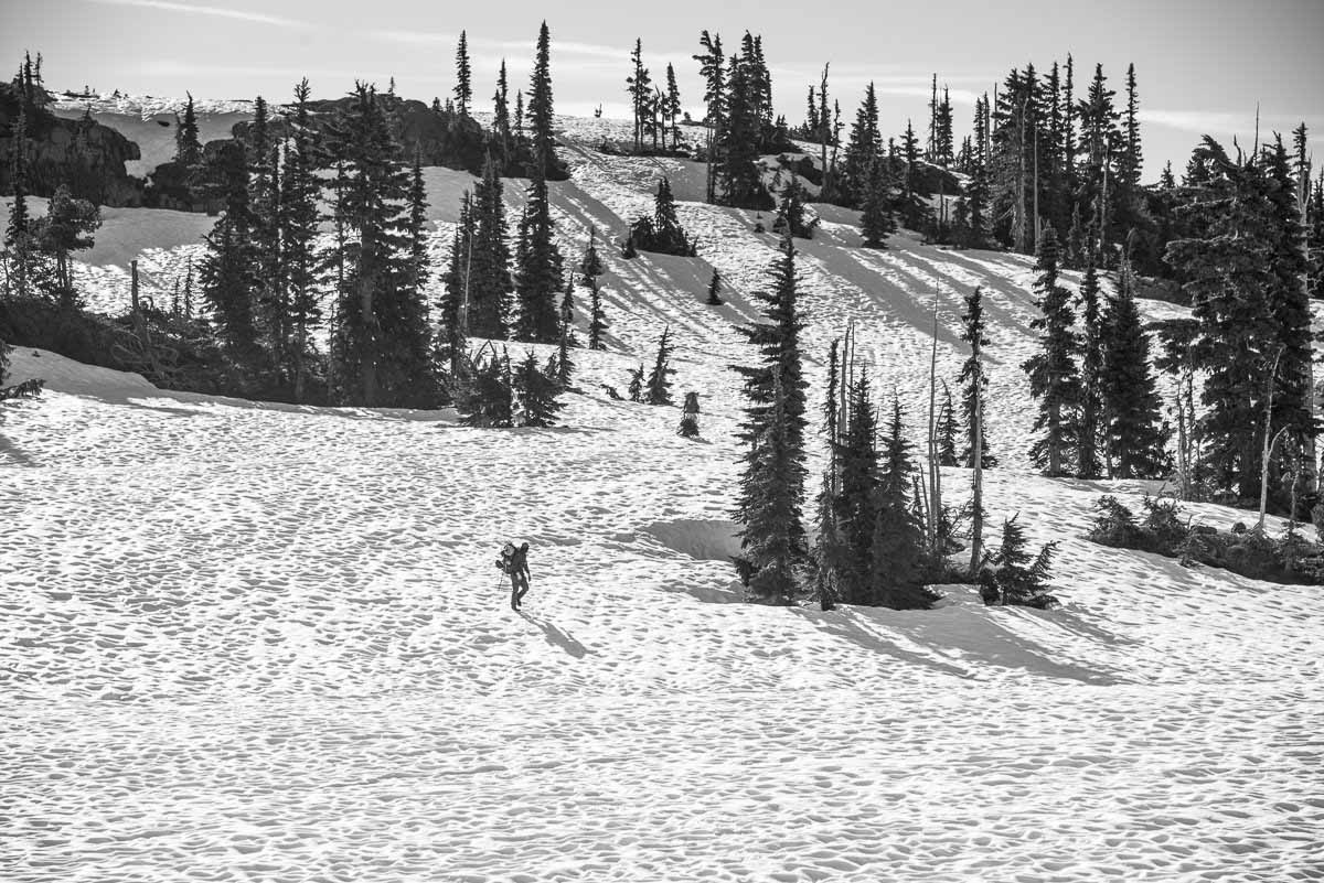 Hiking Fabulous Rees Ridge in Strathcona Park - Explorington
